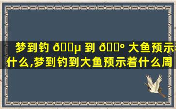 梦到钓 🌵 到 🌺 大鱼预示着什么,梦到钓到大鱼预示着什么周公解梦